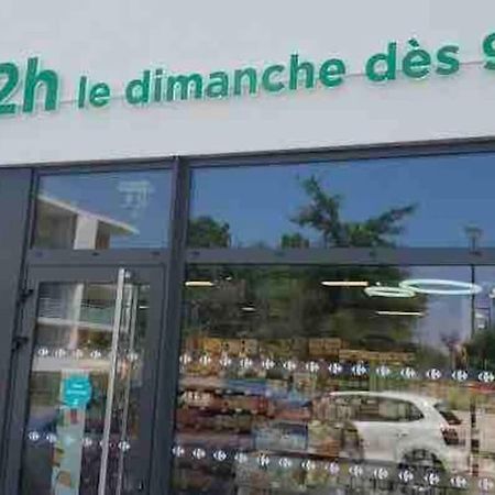 Toulouse Vaste Appartement Tres Lumineux 外观 照片