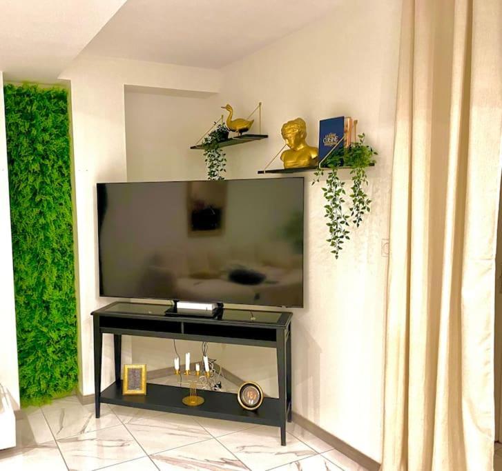Toulouse Vaste Appartement Tres Lumineux 外观 照片