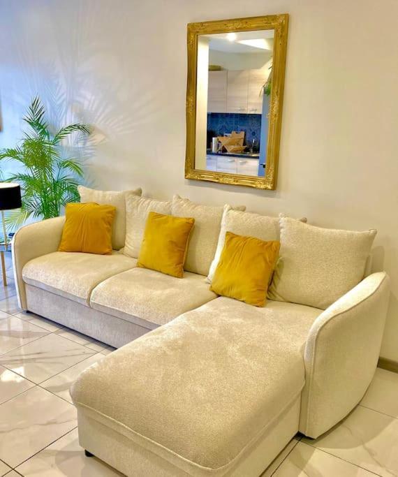 Toulouse Vaste Appartement Tres Lumineux 外观 照片